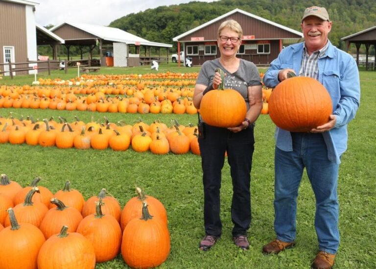 Pumpkinville opens Saturday with beer garden for adults – Olean Times Herald